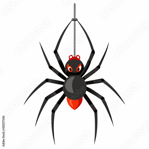 spider on a white background