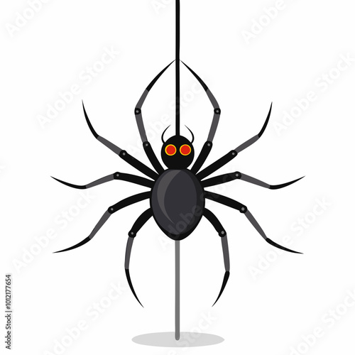 black spider