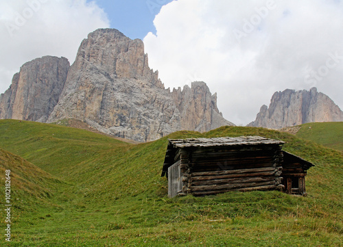 prateria alpina sotto il Sassolungo; Val di Fassa, Trentino photo