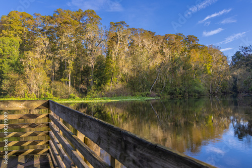 A wooden deck extends over a tranquil Hillsboro River at the John B. Sargeant Sr. Conservation Park. The water, surrounded by lush greenery and tall trees under a clear blue sky. Soft reflections photo