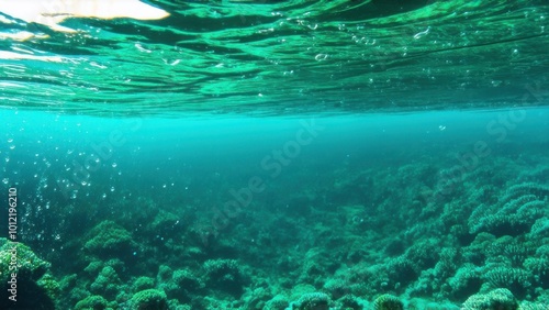 Under the ocean with bubbles and sunlight streaming through the surface with bokeh green water clear tropical fresh turquoise ocean