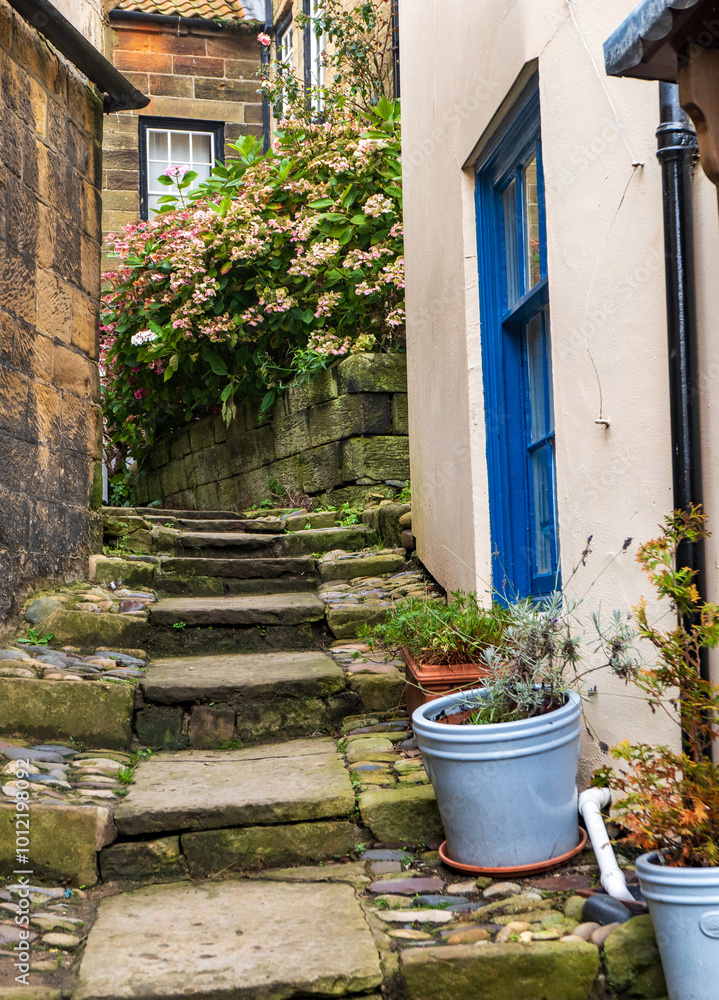 Naklejka premium Narrow alleyway in the fishing village on the North Yorkshire coast