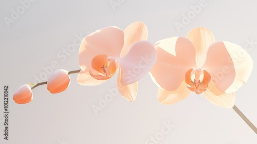 Wallpaper Mural Soft Peach Orchid with Velvety Petals - Ultra-Detailed Macro Shot Displaying Subtle Gradient and Gentle Folds Torontodigital.ca