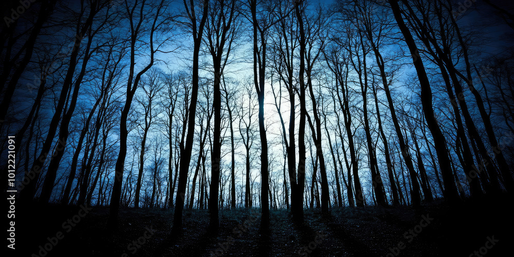 Mysterious spooky dark forest at night with silhouettes of trees and moonlight - eerie sinister forest Mysterious spooky dark forest at night with silhouettes of trees and moonlight - eerie sinister forest