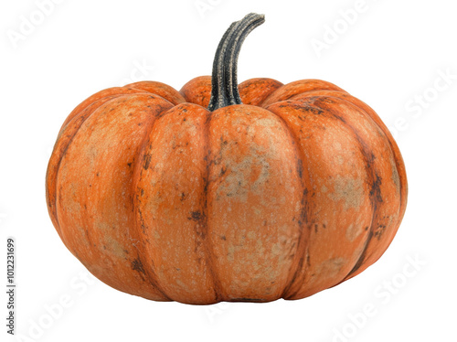 Bright orange pumpkin resting on a white background in preparation for fall decorations photo