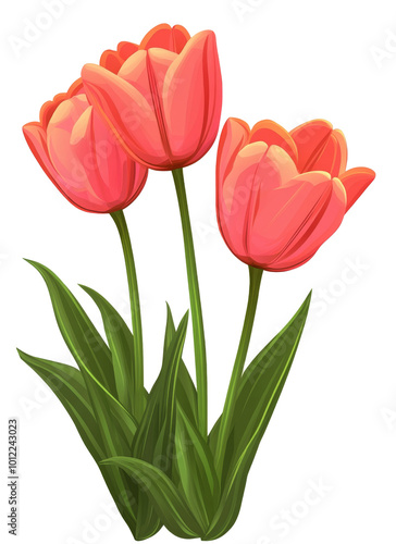 Beautiful pink tulips with green leaves standing gracefully in a vibrant flor...