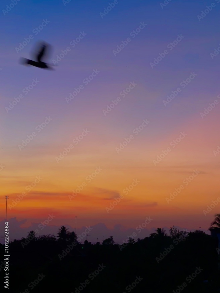 Obraz premium The morning atmosphere with a beautiful sunrise and birds flying across the frame.
