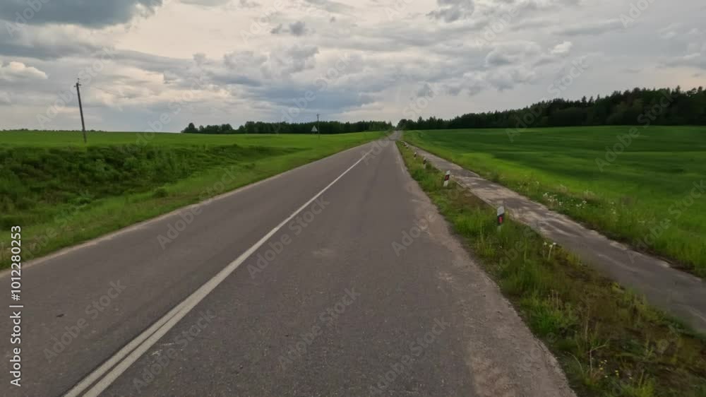 Road view on a summer day. Highways, roadside and white road line markings. Road view on a summer day. Highways, roadside and white road line markings.