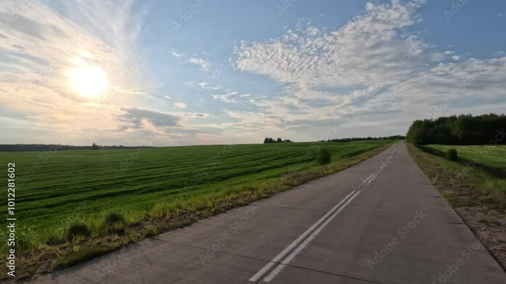 Road view on a summer day. Highways, roadside and white road line markings. Road view on a summer day. Highways, roadside and white road line markings.