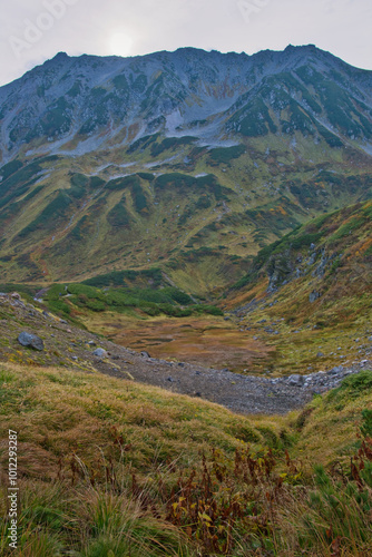 富山県 立山室堂平の紅葉