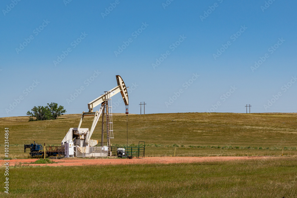 Fototapeta premium Small oil pump or derrick in field.