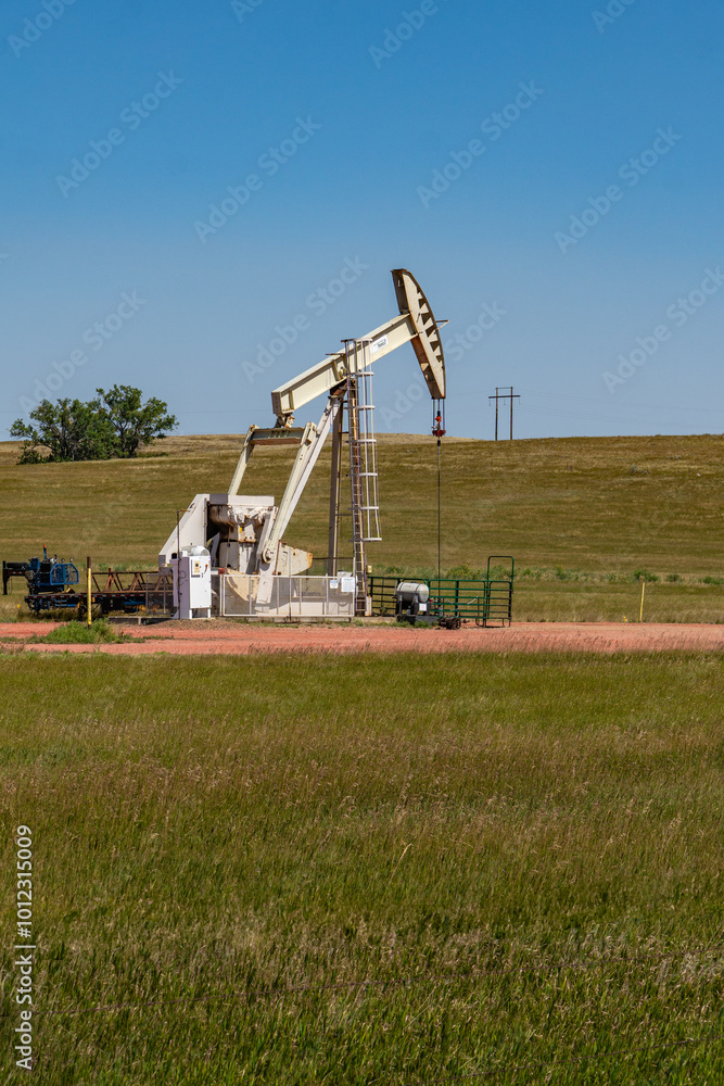 Fototapeta premium Small oil pump or derrick in field.