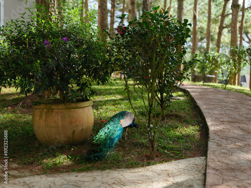 Colorful peacock standing gracefully in a lush garden, surrounded by vibrant plants, showcasing nature s beauty and tranquility in a serene outdoor setting photo