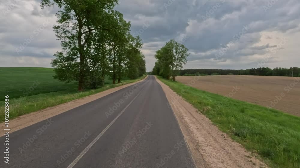 Road view on a summer day. Highways and cars, roadside and white road line markings. Road view on a summer day. Highways and cars, roadside and white road line markings.