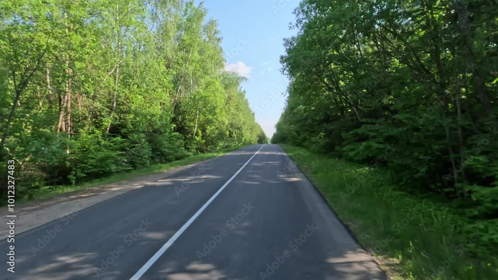 Road view on a summer day. Highways and cars, roadside and white road line markings. Road view on a summer day. Highways and cars, roadside and white road line markings.