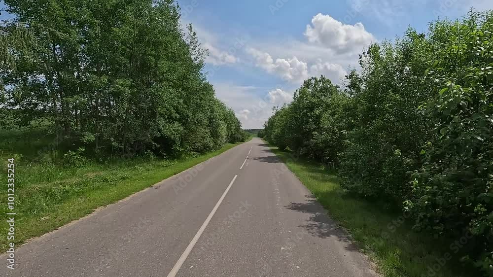 Road view on a summer day. Highways and cars, roadside and white road line markings. Road view on a summer day. Highways and cars, roadside and white road line markings.