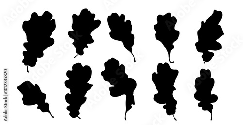 Set of oak leaf silhouettes,stamps.Decorative botanical elements.Vector graphics.