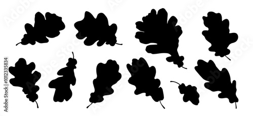 Set of oak leaf silhouettes,stamps.Decorative botanical elements.Vector graphics.