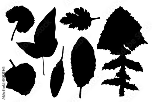 Set of silhouettes, stamps of various leaves. Decorative botanical elements. Vector graphics.