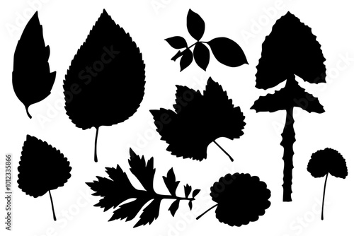 Set of silhouettes, stamps of various leaves. Decorative botanical elements. Vector graphics.