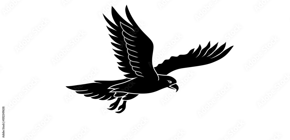 eagle in flight eagle in flight