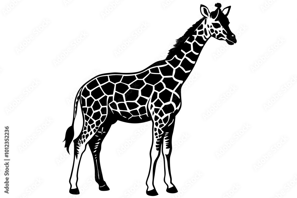 Naklejka premium Animal Giraffe Sublimation Designs - Vector, Cartoon, Clipart, Line Art for Graphics & Print, Animal giraffe sublimation, vector, cartoon, and clipart for digital graphics and print use