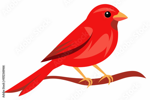 Red canary on its perch vector art illustration 