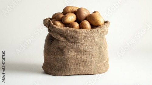 Burlap Sack of Potatoes