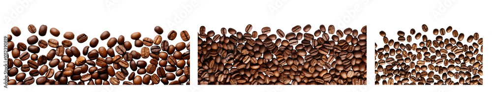 Fototapeta premium realistic photo of coffee beans borders png cut out element set
