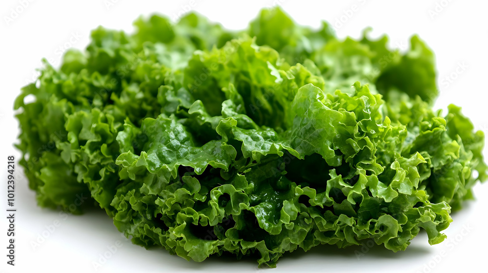 Photo of Fresh Green Lettuce on a White Background Photo of Fresh Green Lettuce on a White Background
