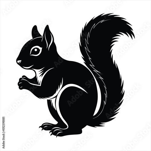 Squirrel silhouette vector