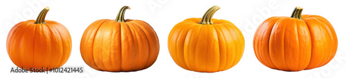 Pumpkin png cut out element set