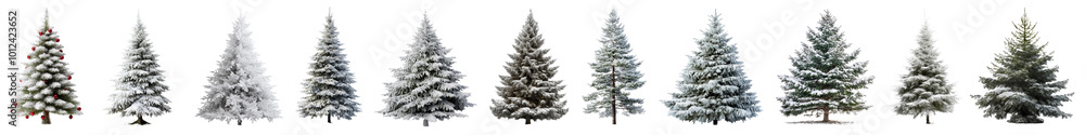 Fototapeta premium Christmas tree png cut out element set