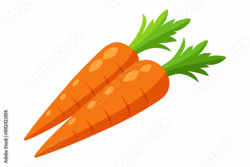 Fresh carrots vector art illustration