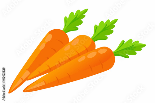 Fresh carrots vector art illustration