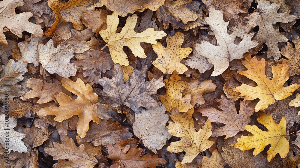 A close-up view of vibrant oak leaves, showcasing their distinct lobed shape and rich green hues. The image captures the intricate details of the leaf veins and the texture, A close-up view of vibrant oak leaves, showcasing their distinct lobed shape and rich green hues. The image captures the intricate details of the leaf veins and the texture,