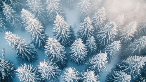 Winter landscape near Vogel ski center in mountains Julian Alps, Slovenia