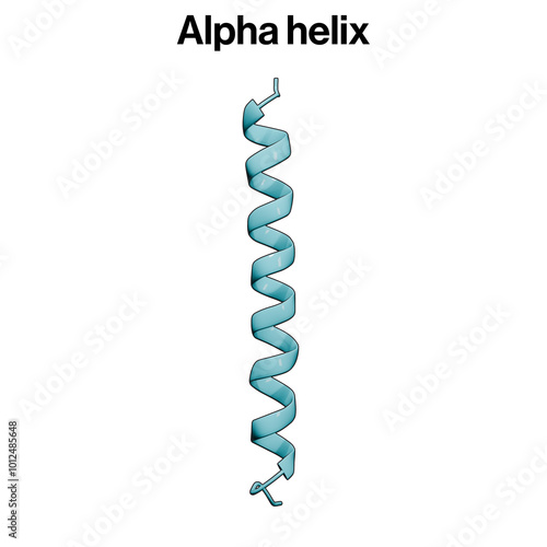 Alpha Helix Structure, Protein Secondary Structure, Biochemistry, Molecular Biology, Science Illustration