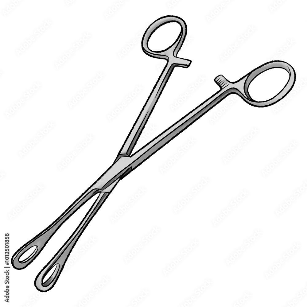 medical equipment illustration Outline Foerster Sponge Holding Forceps on a transparent background medical equipment illustration Outline Foerster Sponge Holding Forceps on a transparent background
