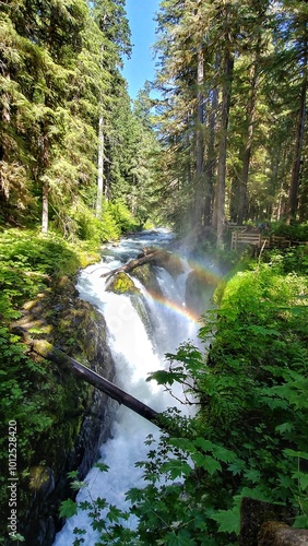 Double Rainbow over Sol Duc Falls, Olympic National Park, Washington  photo