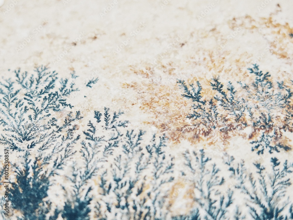 Fototapeta premium Dendritic Mineral Crystals Manganese Dendrites naturally drainage pattern on rock 