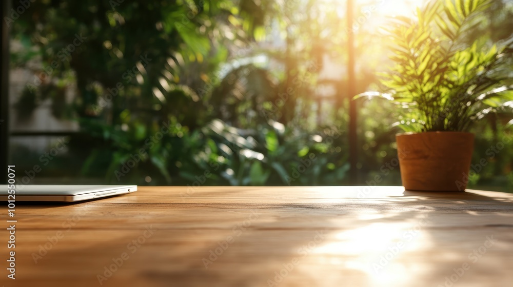 A simple potted plant basks in the warm morning light on a wooden surface, epitomizing calm and serenity with nature's touch in an indoor setting. A simple potted plant basks in the warm morning light on a wooden surface, epitomizing calm and serenity with nature's touch in an indoor setting.