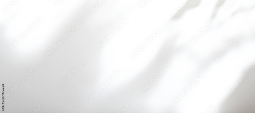 Beautiful shadow from a window and leaf on white and transparent background. PNG. Simple minimalistic natural background for presentation. Soft Light and Shadow Patterns Beautiful shadow from a window and leaf on white and transparent background. PNG. Simple minimalistic natural background for presentation. Soft Light and Shadow Patterns