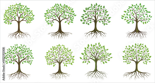 Abstract colorful tree with roots, Set of tree with green leaves and roots, Tree icon illustration, Green tree with roots vector illustration