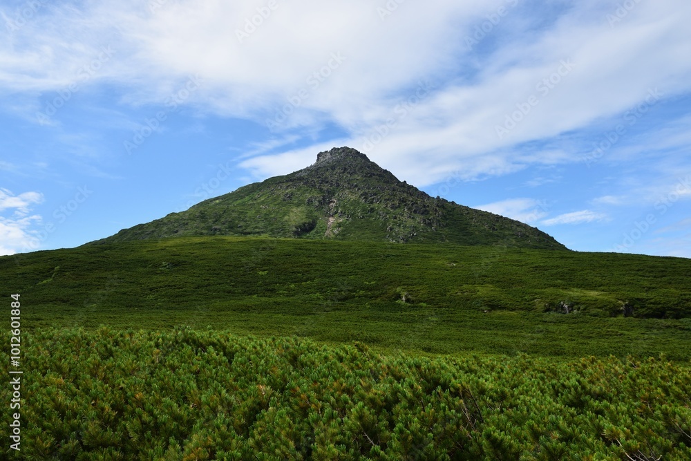 Fototapeta premium 初夏・晴天の羅臼岳