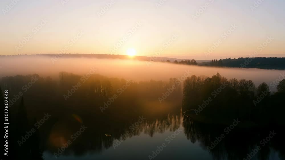 A serene sunrise bathes a mist-covered river and forest landscape in warm light. The calm water reflects the sky while the silhouette of trees adds depth to the scene. A serene sunrise bathes a mist-covered river and forest landscape in warm light. The calm water reflects the sky while the silhouette of trees adds depth to the scene.