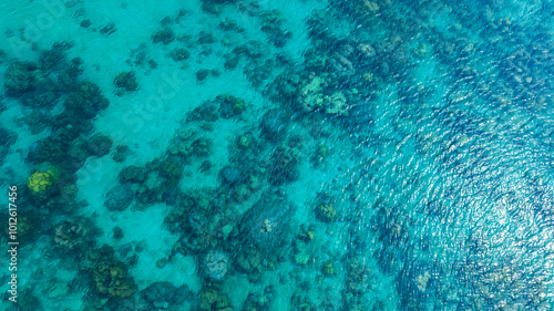 Fototapeta Naklejka Na Ścianę i Meble -  Top view, sandy beach background for summer vacation concept. Nature of beach and summer sea water with sunlight, sparkling sea water, coral reefs, underwater.