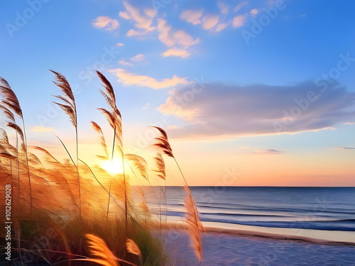 View with Gentle and Cool Breeze