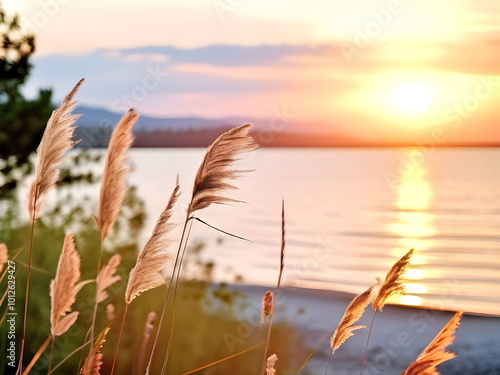 View with Gentle and Cool Breeze