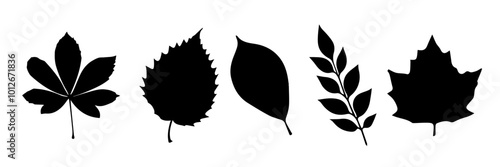 Autumn leaves silhouettes set isolaated on white.Vector illustration eps 10 photo